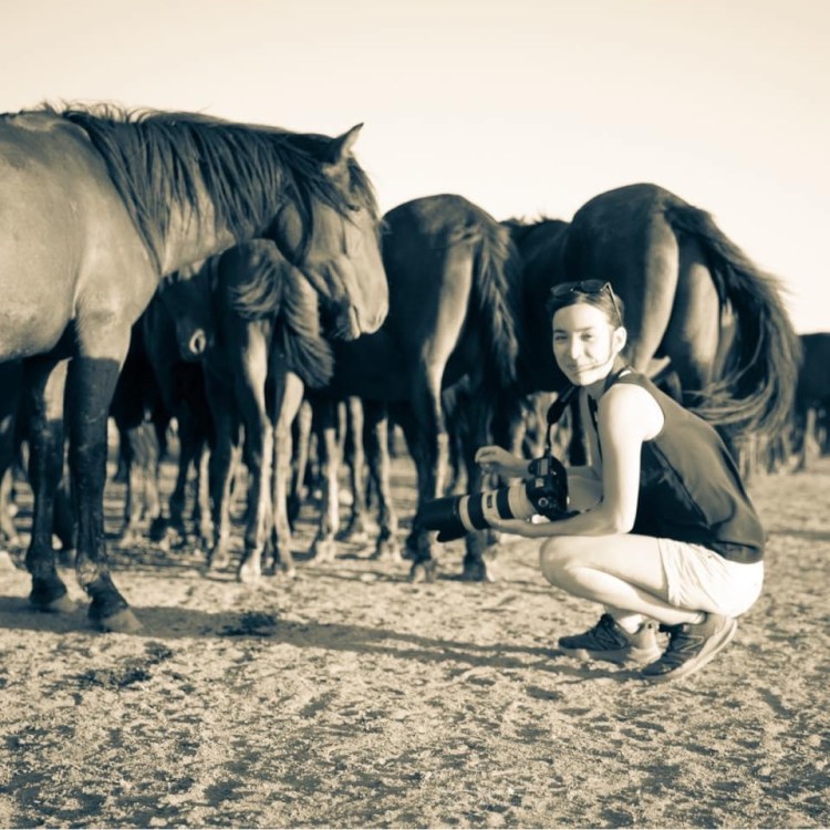 Equine photographer Cappadocia wild horses